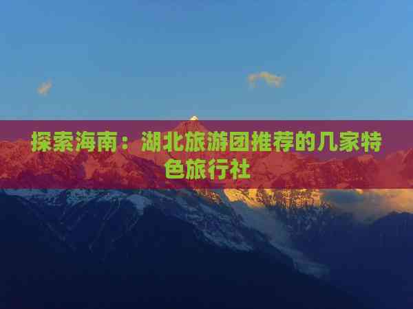 探索海南 湖北旅游团推荐的几家特色海口旅行社与咨询服务